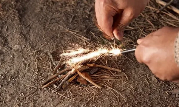 การจุดไฟให้กับความอยากรู้และการสำรวจสิ่งใหม่ ๆ ที่คุณไม่เคยรู้จัก